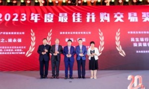 创新与战略：2023最佳并购交易奖诞生辉煌案例