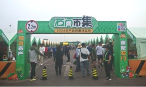 国企担当惠民生：顺鑫石门市场引领品质消费升级