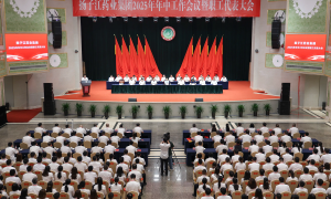 全面对标世界一流，扬子江药业集团召开2025年年中工作会议暨职工代表大会