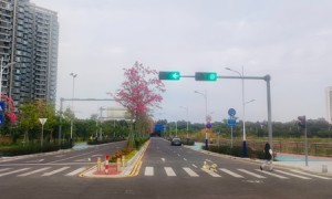 伦教荔村片区道路工程（一期）全面竣工验收