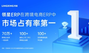 2025跨境ERP选型：中大型跨境企业为何更推荐选择领星ERP?
