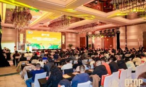 巫山恋橙暨第十九届重庆长江三峡（巫山）国际红叶节郑州推介会圆满举行