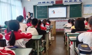 聚焦新课标  解读新教材